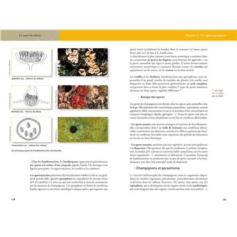 La santé des forêts (2e édition)