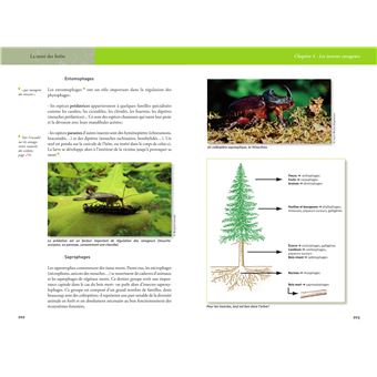 La santé des forêts (2e édition)