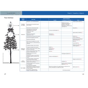 La santé des forêts (2e édition)