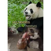 Sneezing Baby Panda Dvd Lesley Hammond Jenny Walsh Dvd Zone 2 Achat Prix Fnac