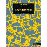 Loi et jugement - Une enquête sur le problème de la pratique