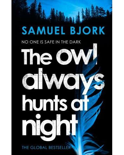 OWL ALWAYS HUNTS AT NIGHT