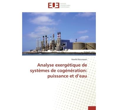 Analyse exergétique de systèmes de cogénération : puissance et d'eau