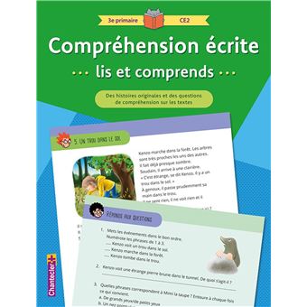 Compréhension écrite lis et comprends 3e primaire CE2 (vert)