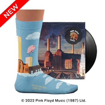 Chaussettes Pink Floyd Animals