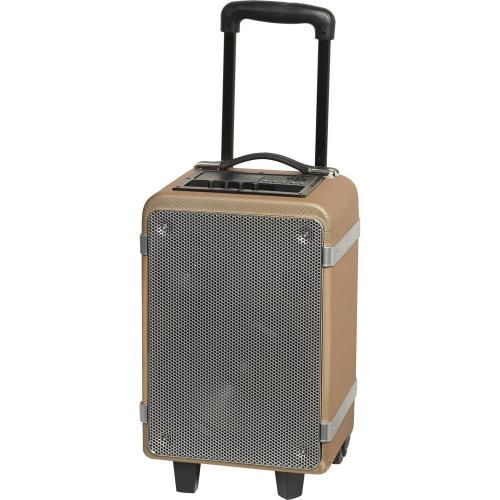 DENVER TSP-150 TROLLEY SPEAKER WITH WHITE BACKLIGHT