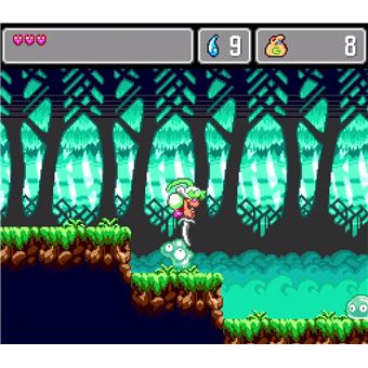 Wonder Boy Collection Nintendo Switch