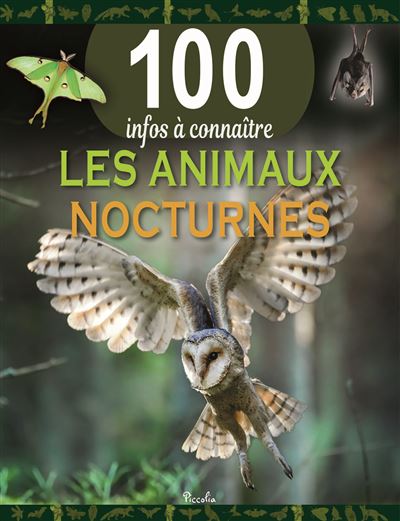 Animaux nocturne -  Collectif - broché