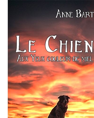 Le chien aux yeux couleur miel