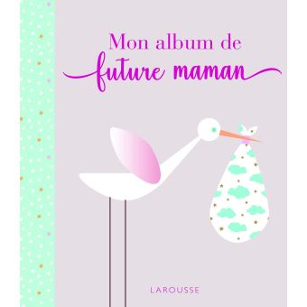 Carnet de grossesse Nina - broché - NINA AND OTHER LITTLE THINGS® - Achat  Livre