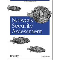 Network security assessment