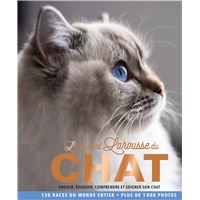 La Folie des chats - broché - Claude Béata - Achat Livre ou ebook