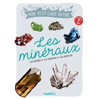101 minéraux et pierres précieuses - Qu'il faut avoir vus dans sa vie -  Livre et ebook Sciences de la Terre et environnement de Jean-Claude  Boulliard - Dunod