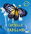 De la chenille au papillon