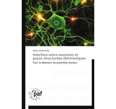 Interface entre neurones et puces structurées électroniques