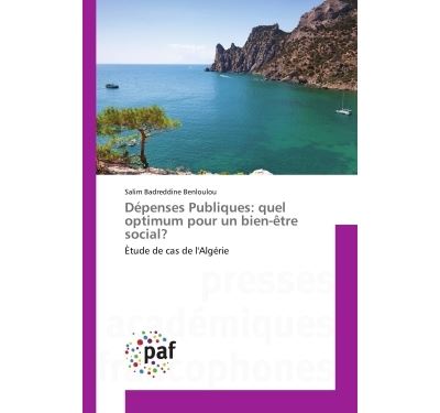 Depenses Publiques: quel optimum pour un bien-etre social?