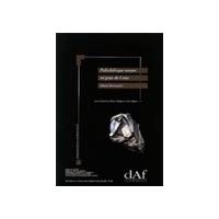 Paléolithique moyen en pays de Caux, Haute-Normandie - Le Pucheuil, Étoutteville