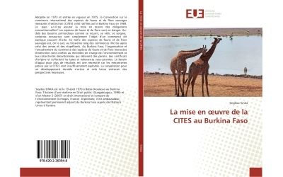 La mise en oeuvre de la cites au burkina faso