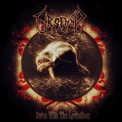Swim with the leviathan