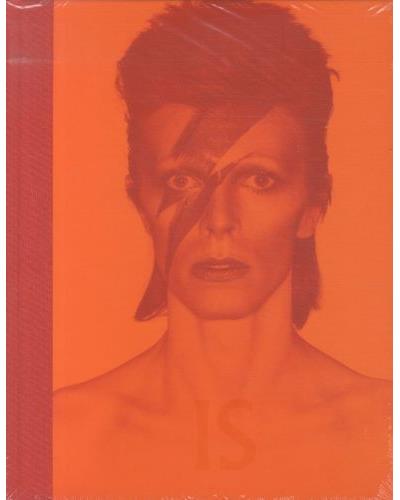 DAVID BOWIE IS