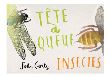 Tête à queue - Insectes