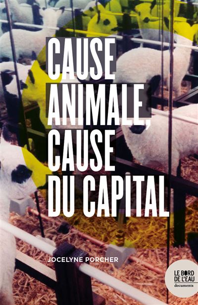 Cause animale cause du capital
