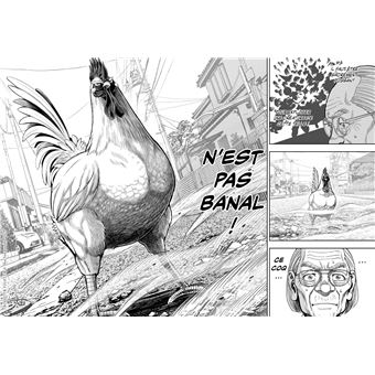 Rooster Fighter - Coq de Baston T01