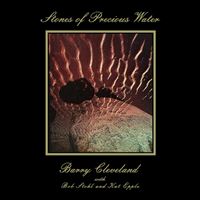 Stones of precious water - Vinilo