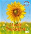 De la graine au tournesol