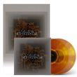 Métamorphose Vinyle Ambre Transparent