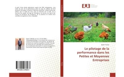 Le pilotage de la performance dans les petites et moyennes e