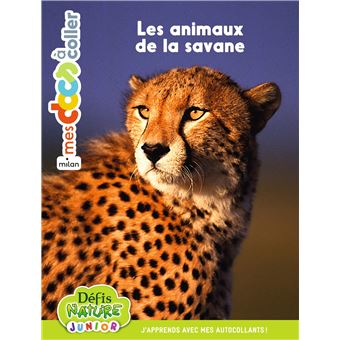 Bioviva - Les animaux de la savane
