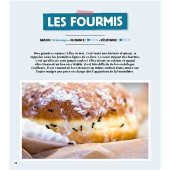 Stratégie anti-bestioles dans ma maison