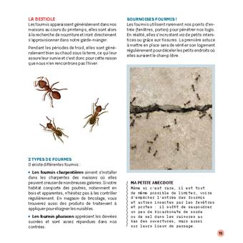 Stratégie anti-bestioles dans ma maison