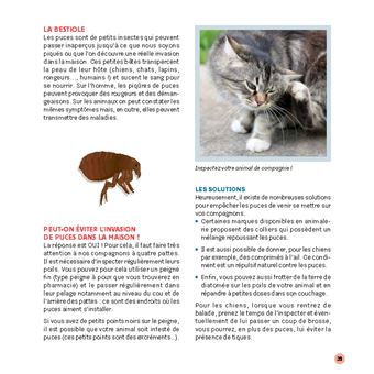 Stratégie anti-bestioles dans ma maison