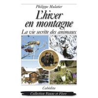 L'hiver en montagne