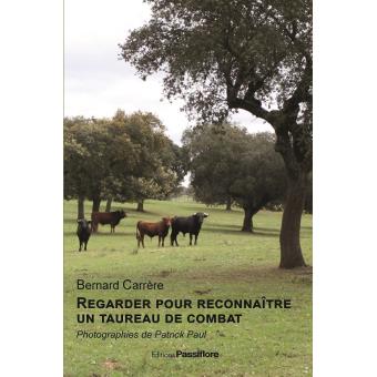 Regarder pour reconnaître le taureau de combat