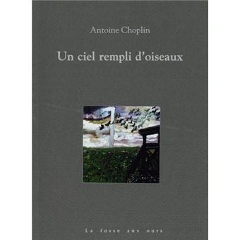 Un ciel rempli d'oiseaux