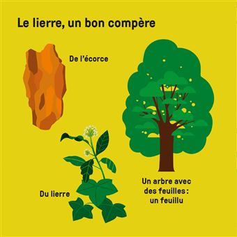 Mes imagiers tout carrés - La grande famille de la nature