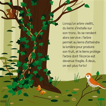 Mes imagiers tout carrés - La grande famille de la nature