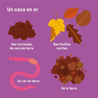 Mes imagiers tout carrés - La grande famille de la nature