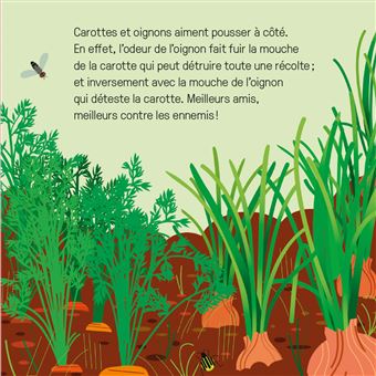 Mes imagiers tout carrés - La grande famille de la nature