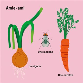 Mes imagiers tout carrés - La grande famille de la nature