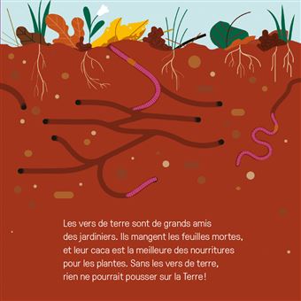 Mes imagiers tout carrés - La grande famille de la nature