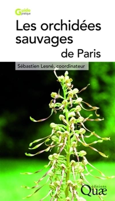 Les orchidées sauvages de paris - Sébastien Lesne - broché