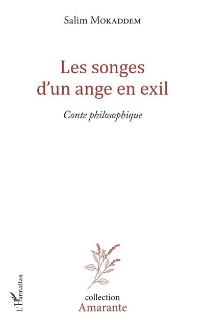 Les songes d'un ange en exil conte philosophique