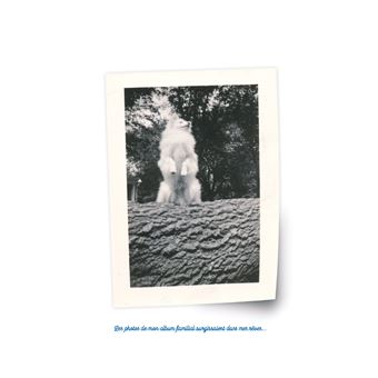 Les faits et gestes de la famille papillon