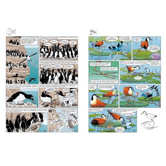 Les Oiseaux en BD - tome 02