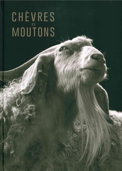 Chevres ou moutons