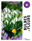 Bulbes à fleurs